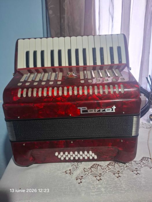 Acordeon parrot de vânzare
