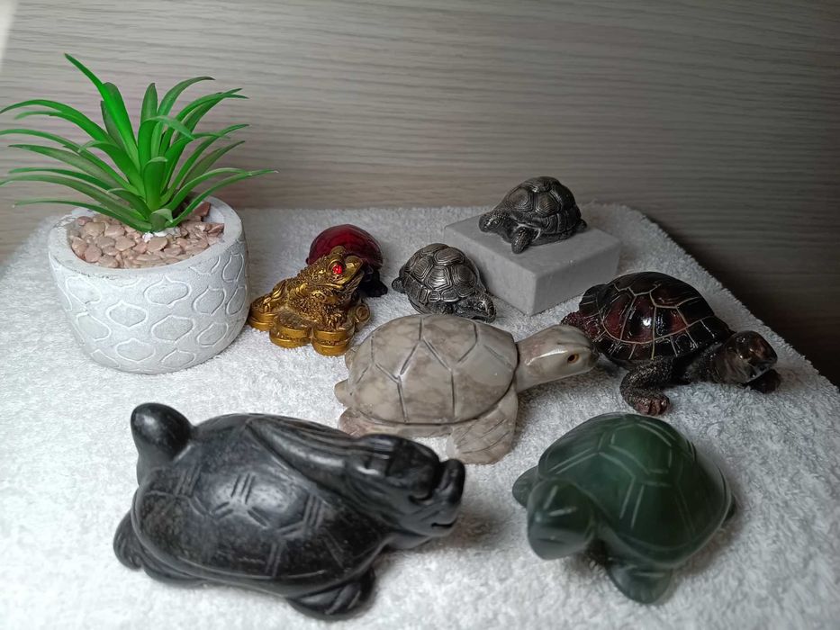 broscute pentru ornament