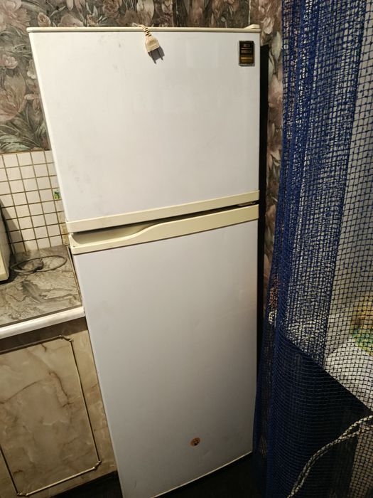 Срочно отдам бесплатно