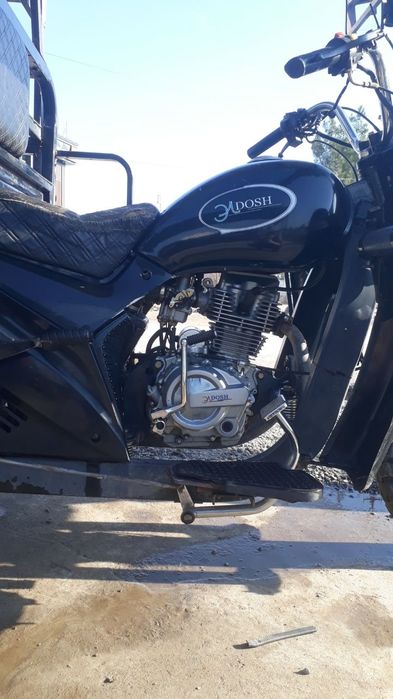 ELDOSH 2OO cs Muravey