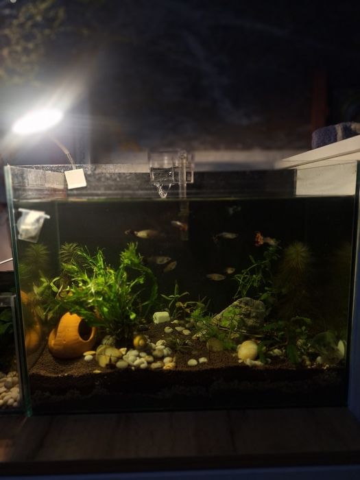 Продам Аквариум 32 литра!