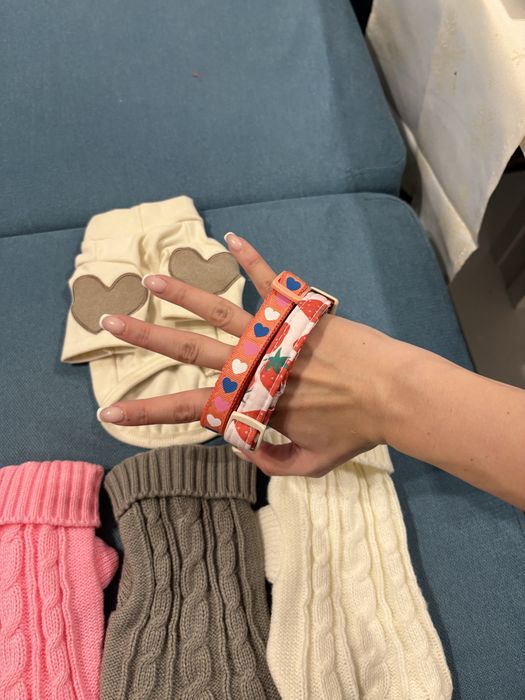 Кучешки дрехи и нашийници