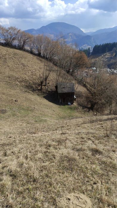 Teren intravilan de vanzare 5000mp2 Rucar-Arges