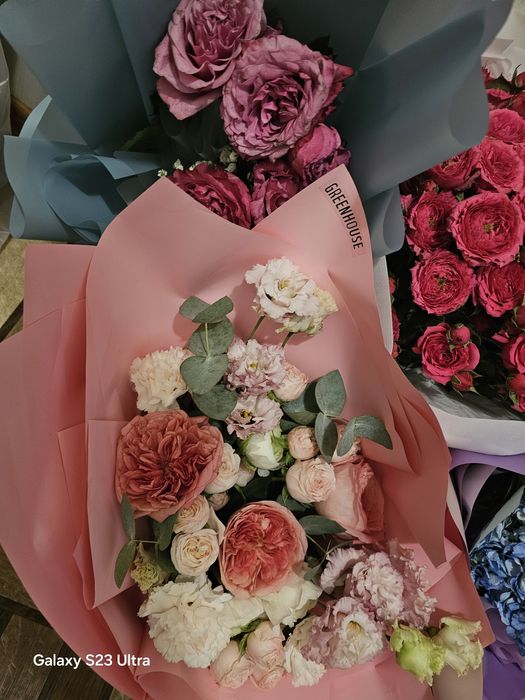 Продам цветы не дорого!