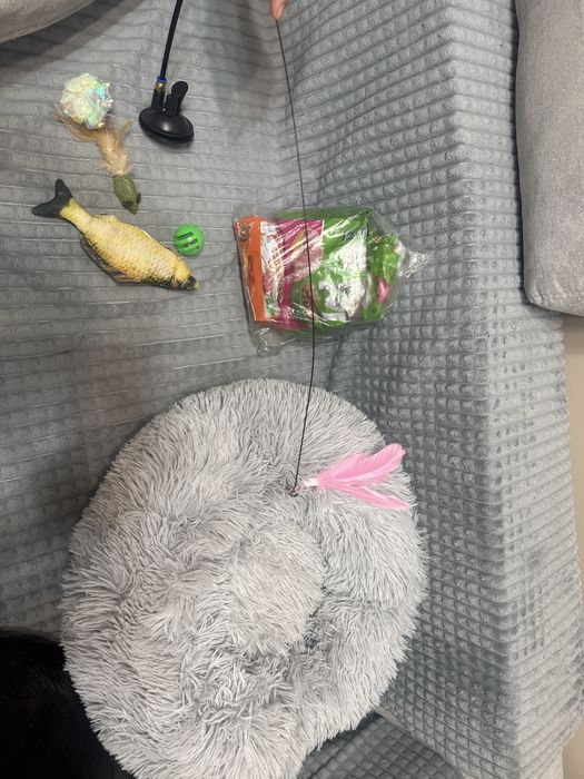 Игрушки, лежанка