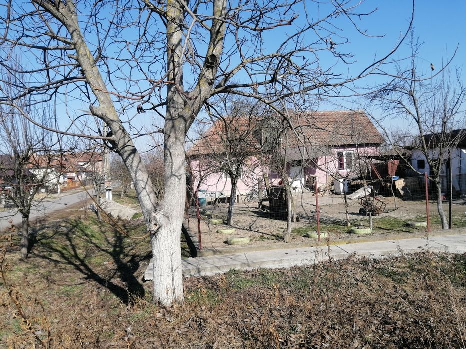 Vând teren în Lazuri cu construcție