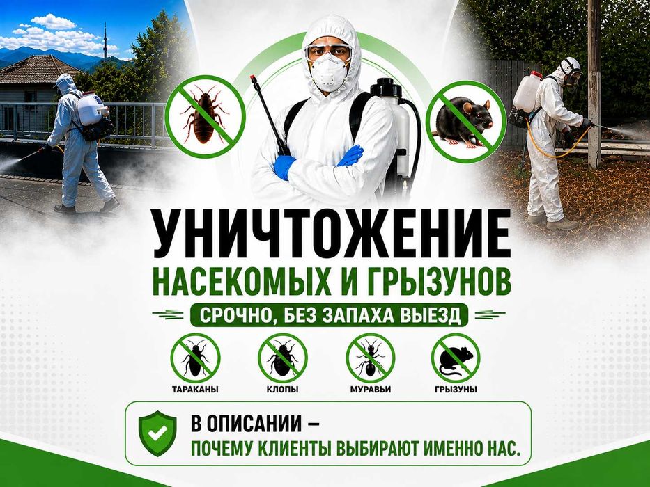 Уничтожение клопов Обработка Дезинфекция Дизенсекция Дератация Мыщей