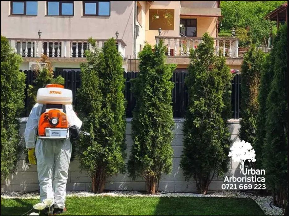 Toaletare Copaci Tăiere Arbori Defrișare Copaci Periculoși Gard Viu