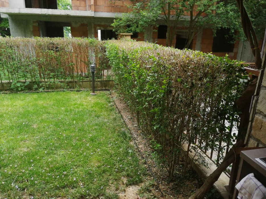 Косене на трева, почистване на дворове, поддръжка на градини и площи