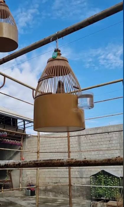 Italiya bedanala sotiladi, Италия беданала сотилади