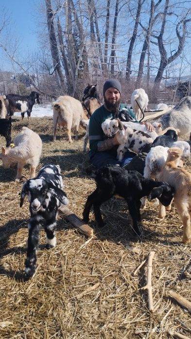 Англонубийцы мальчики 75. Доставка по всему Казахстану