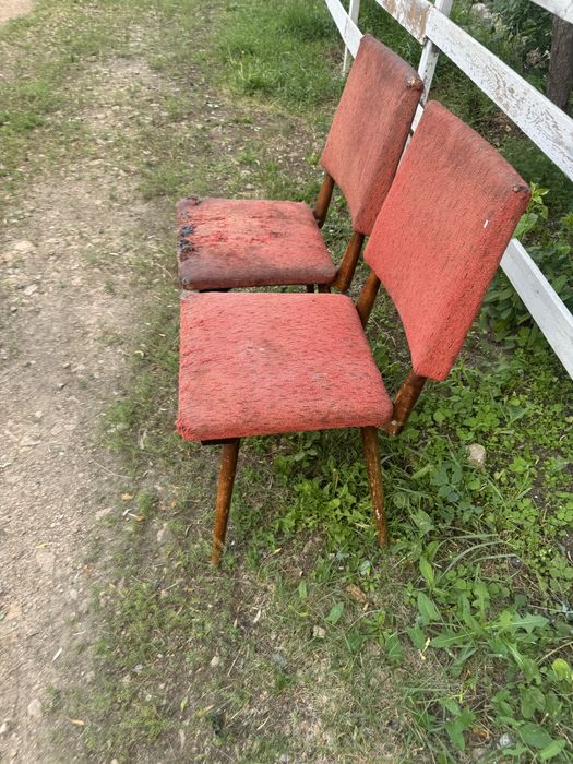 Стулья ГДР, Гера в наличии 4 ед.