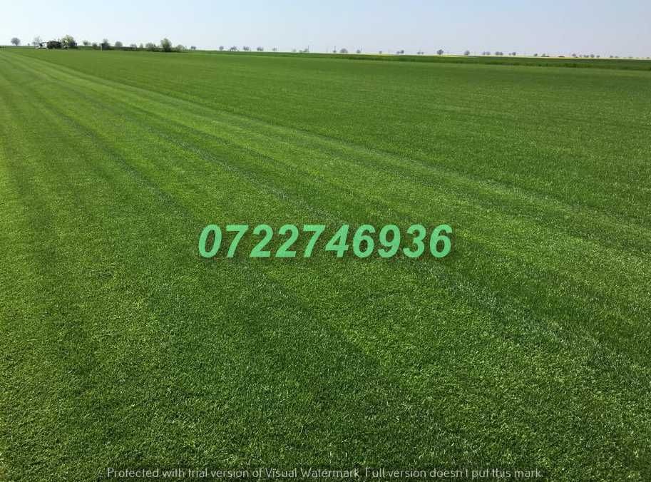 Gazon Rulou Profesional cu Aspect Verde Intens
