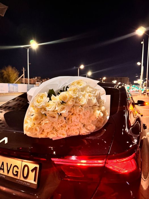Продам белые розы свежие 51 шт