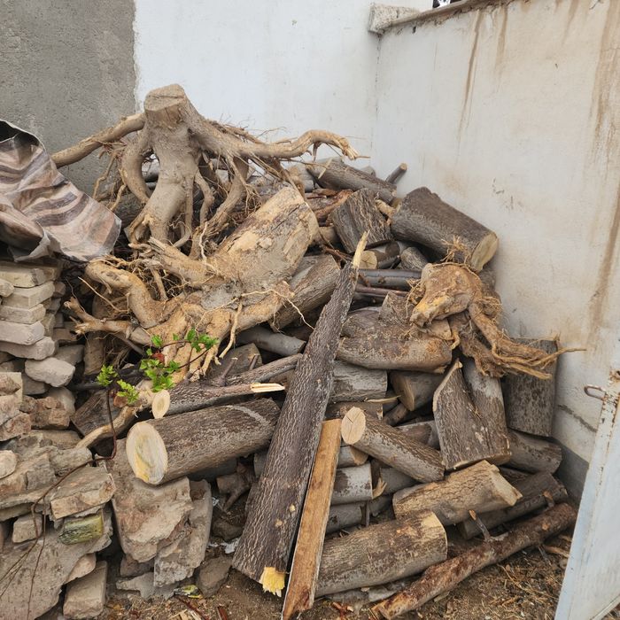 O'tin va vassaliklar sotiladi