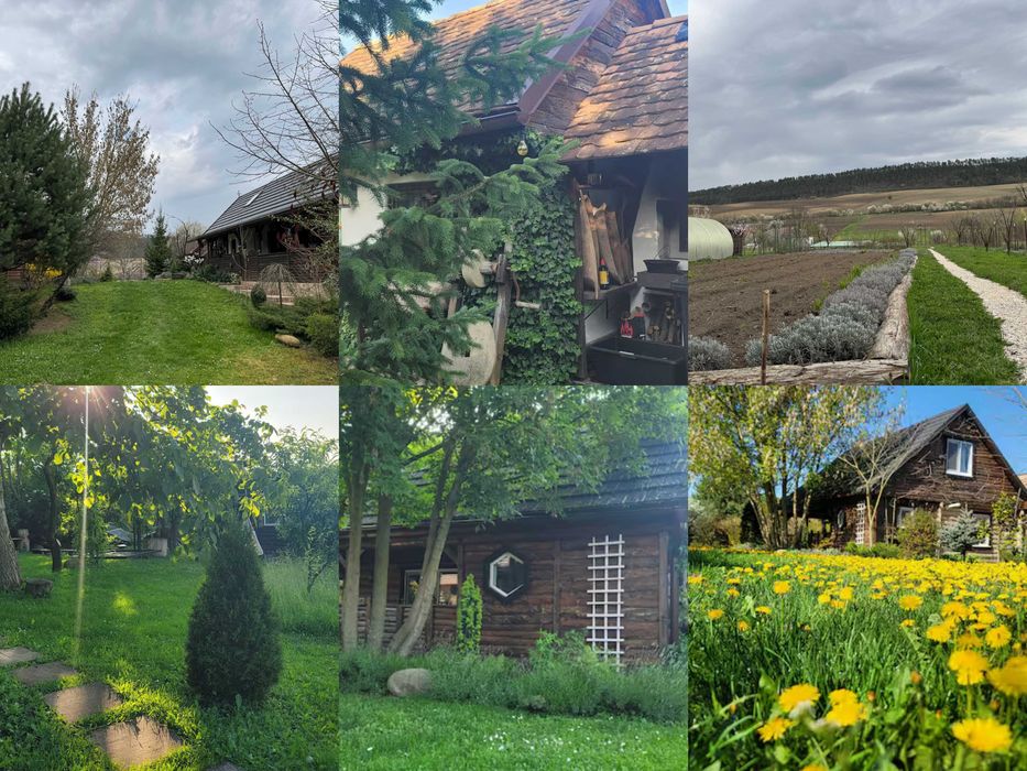 Vand 0.75 ha in Bazna, doua case, casuta, camping, airbnb...