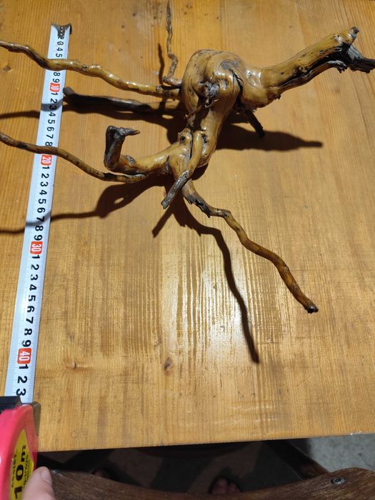 Корен за декорация за дома,градината