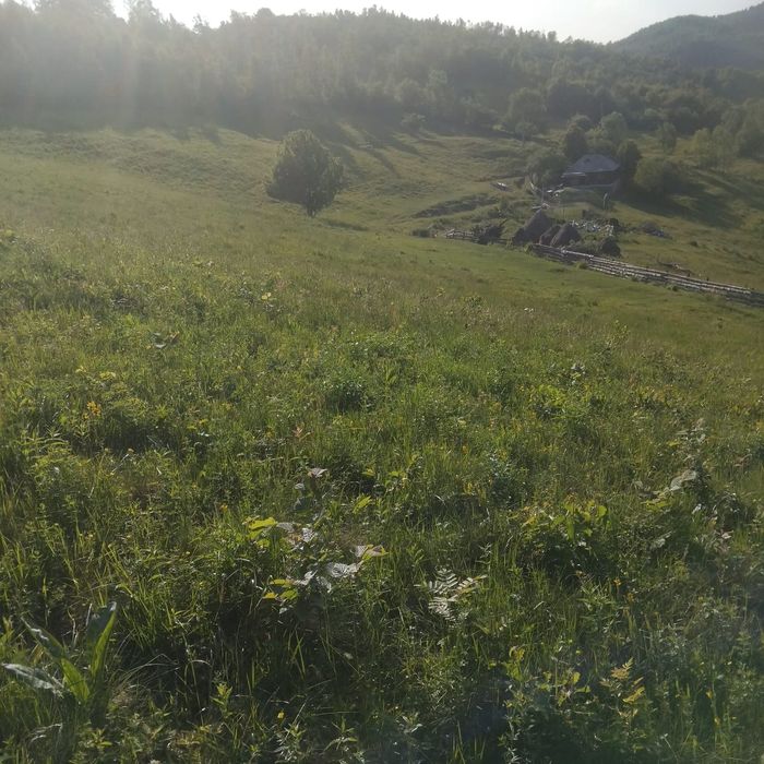 Teren intravilan in Plopi com. Valea Ierii