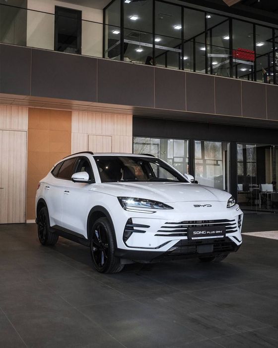 Byd champion 2026 хамма рангидан