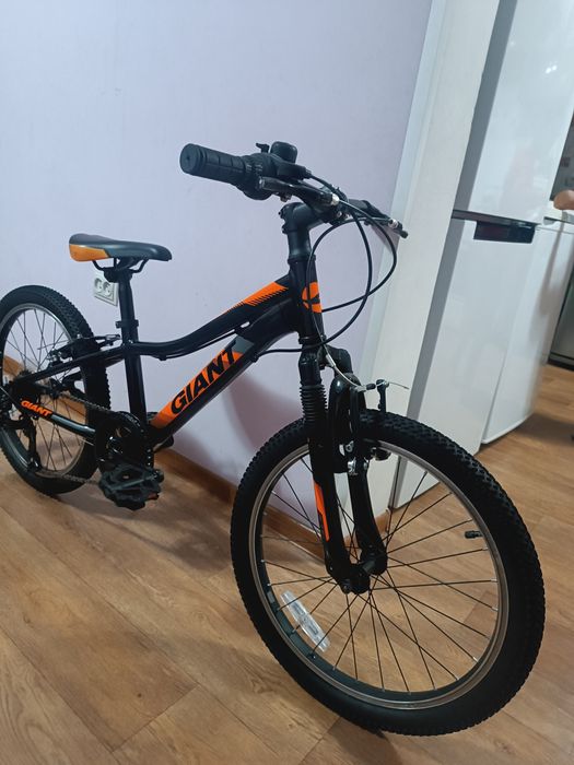 Giant, trek merida author, centurion biwec