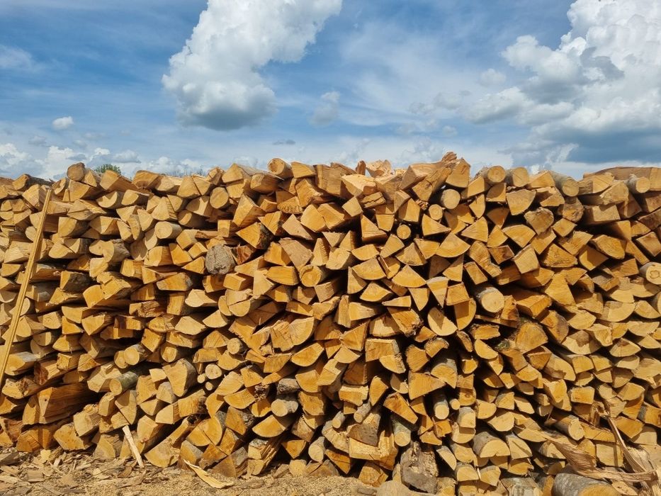 Lemn de Fag pentru centrale, sobe și seminee
