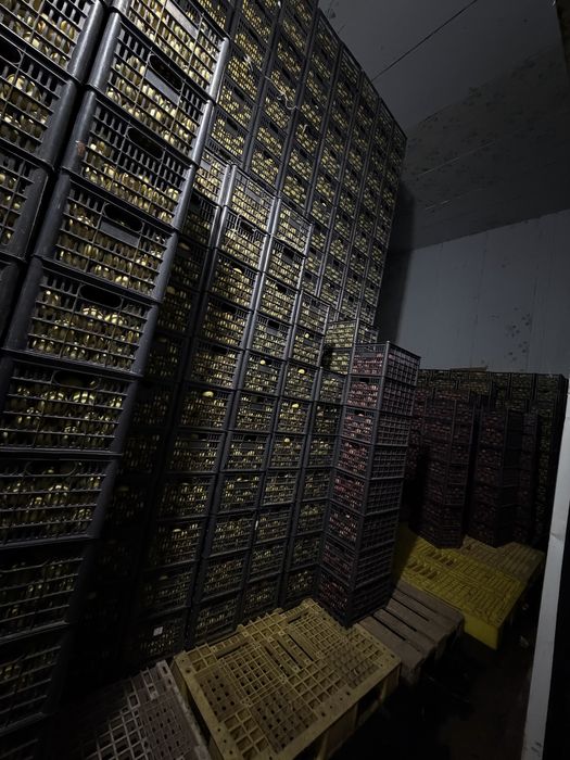 Аренда Холодильных и морозилных складов