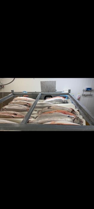 Форель Норвежская, Супер