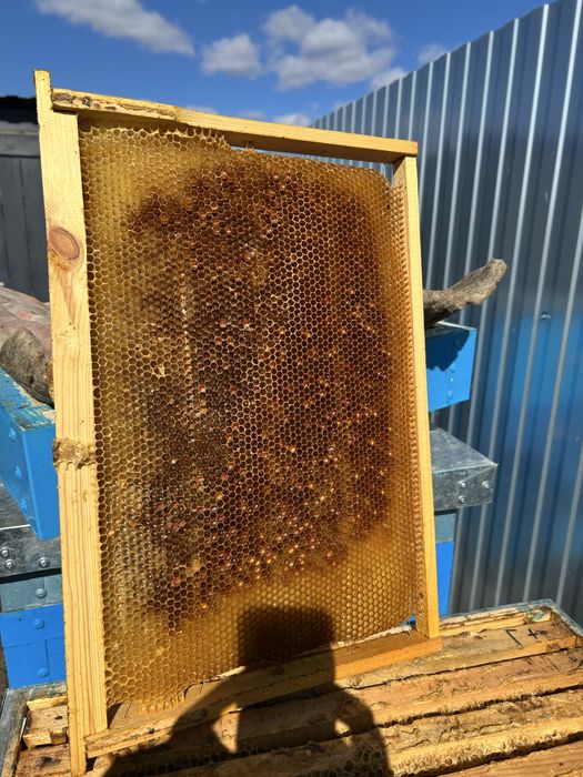 Рамки с сушью для пчел