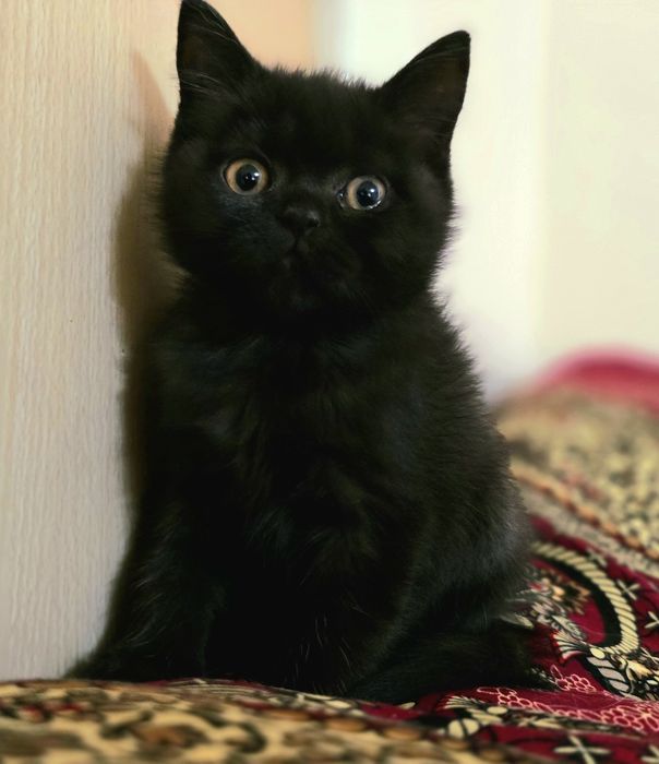 Uxlayotgan odamni orqasidan sikayotgan odam surati