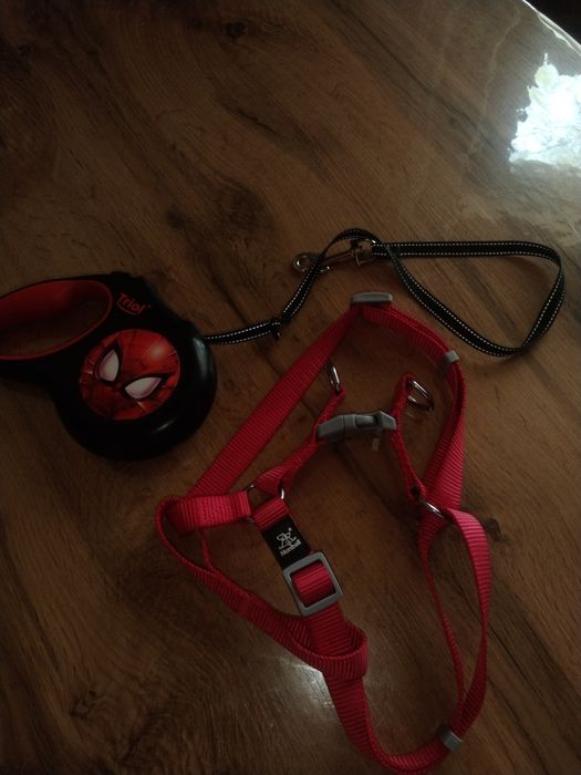 Продам шлейку для собак