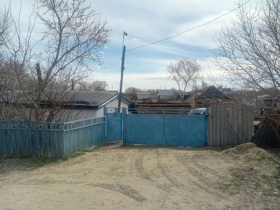 Продам земляника