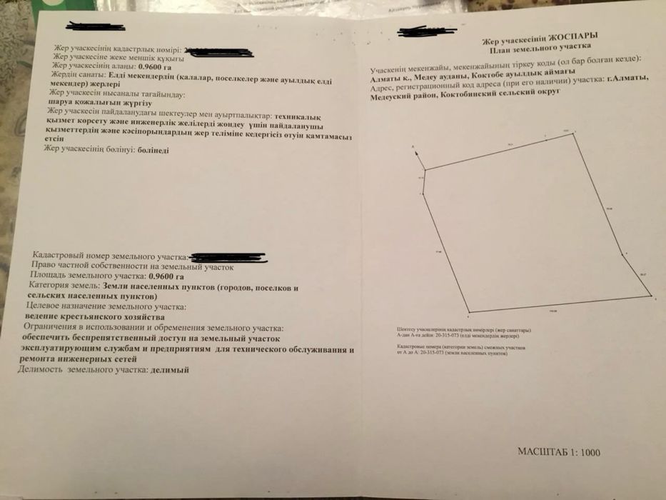 Земельный участок 96 соток (0,96 гектар)