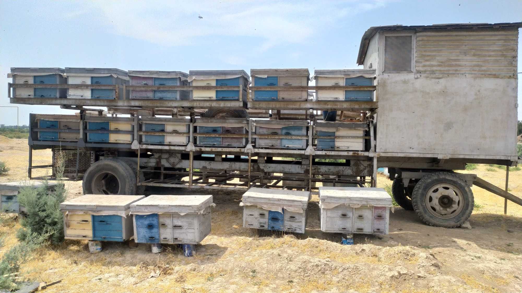 Продается пчеловодный павильон, Краснодарский край