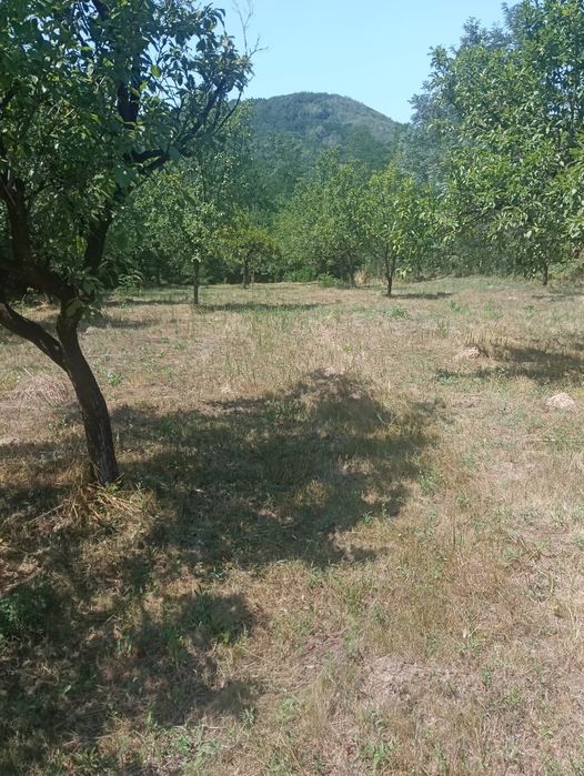 Vind teren extravilan