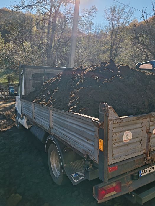 Balegar oaie de 3 ani chisai vegetal pentru gradina gazon curat