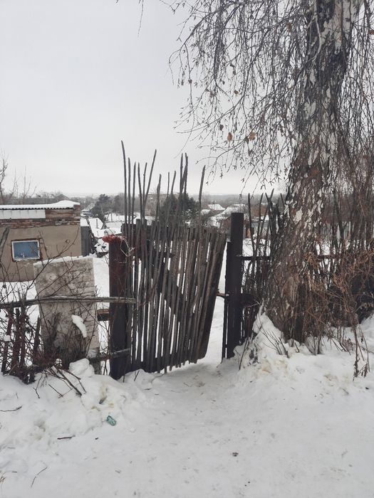 Земельный участок с постройкой, борки.