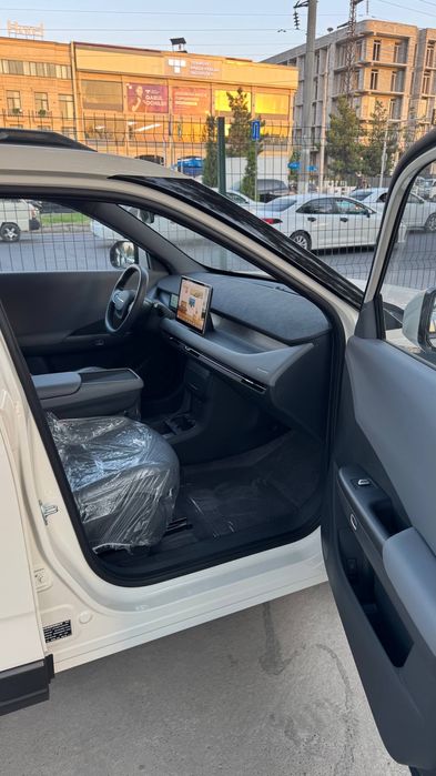 Dongfeng Nammi 06