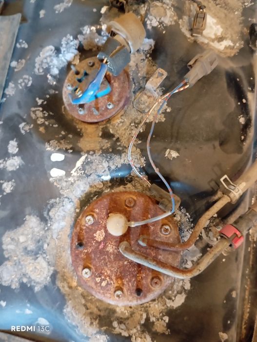 Бак от Прадо вроде