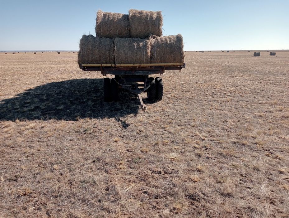 Шөп бар тегін жеткізем, продам сено с бесплатной доставкой.