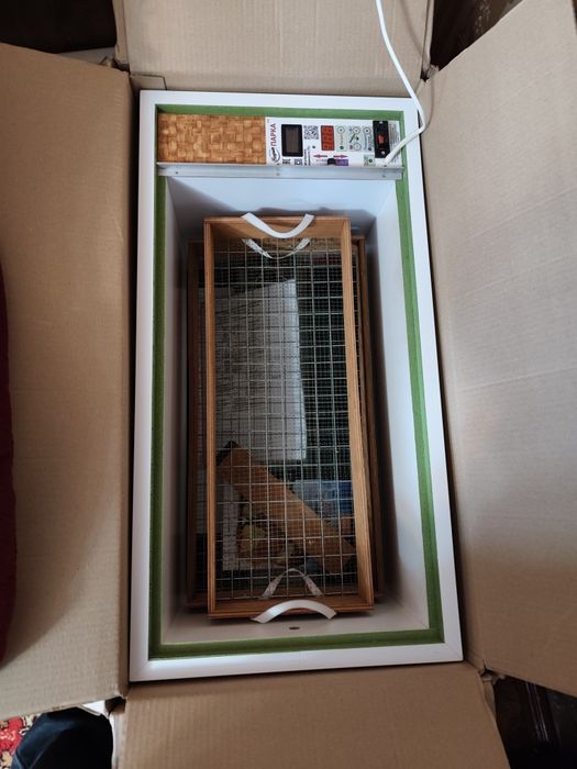 Инкубатор автомат