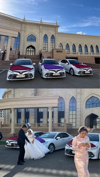 Аренда авто с водительм