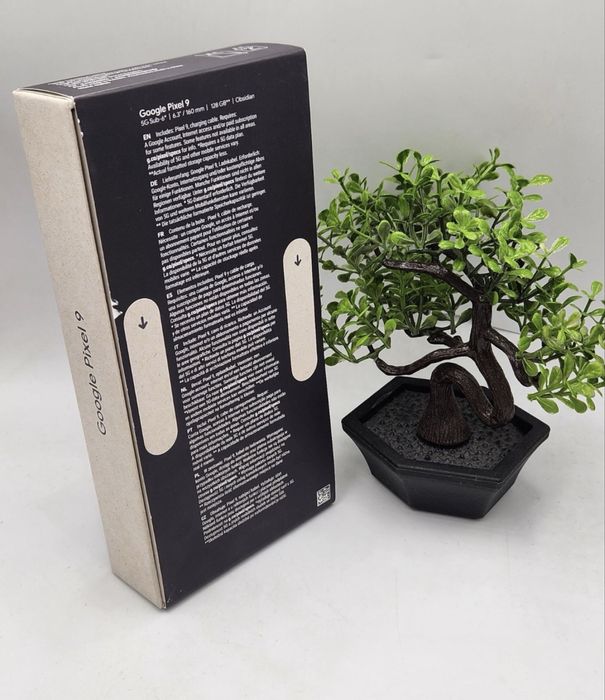 Google Pixel 9 , NOU