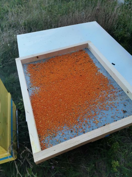 Продавам чист натурален пчелен мед и пчелен прашец