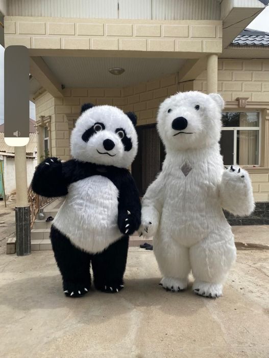 Поздравления мишки Умки и Панды