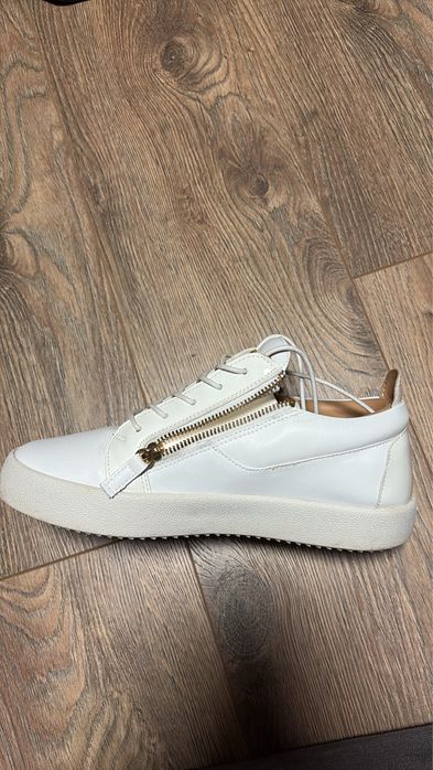 giuseppe zanotti