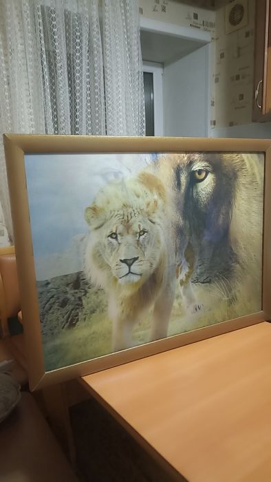 Продам красивую 3D картину со львом