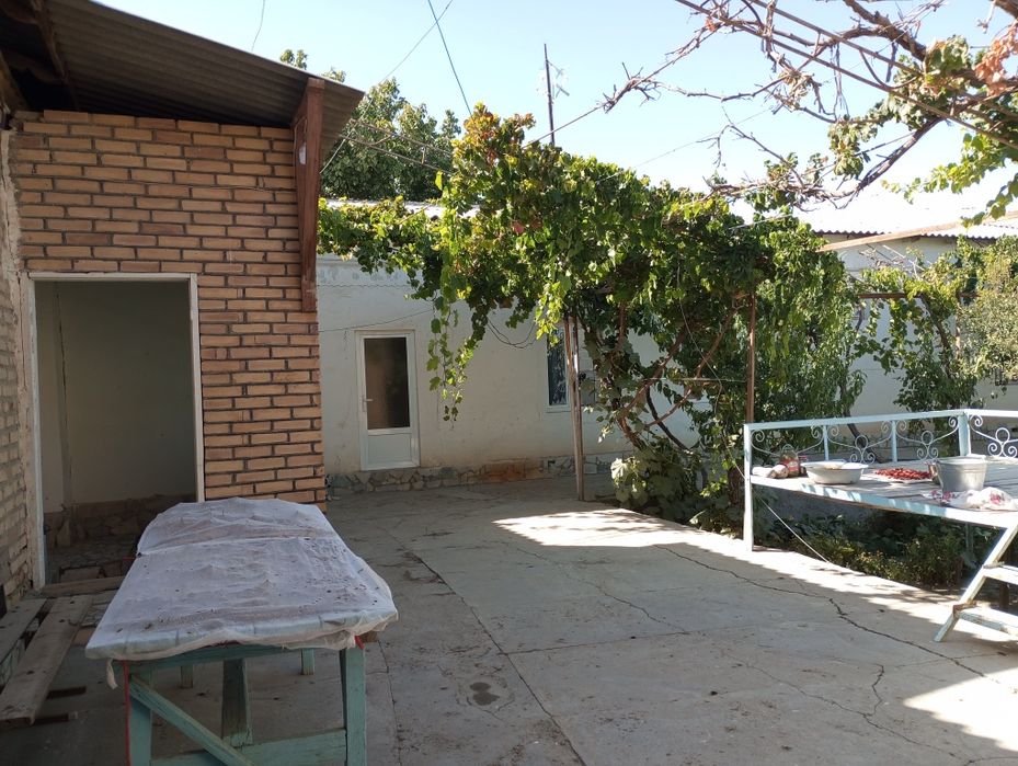 30sotixli peshkuda joylashgan hovli