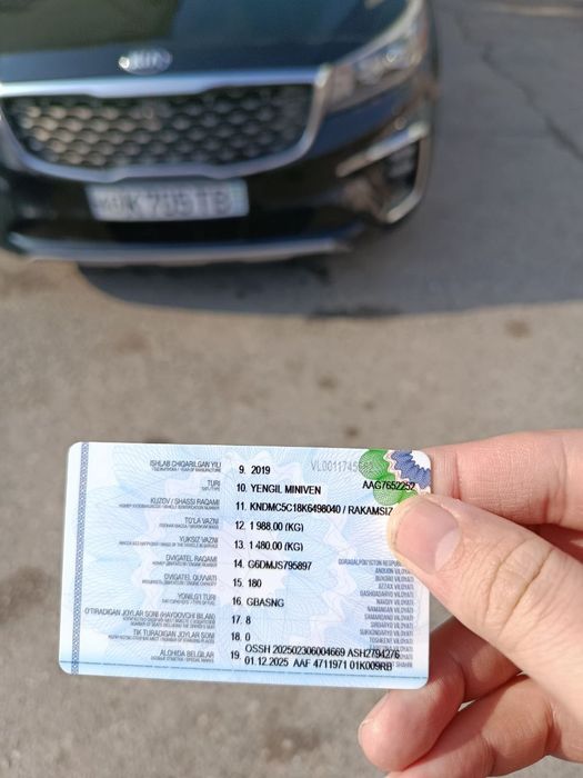 Kia Karnival Arzon Narx