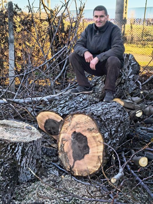 Рязане на дърва за огрев град Луковит