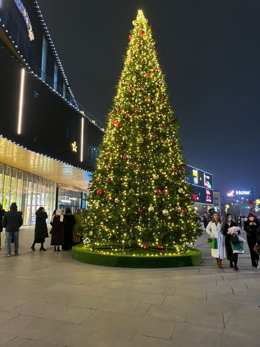 Демаламыз Шымкент қаласы боиынша выезд